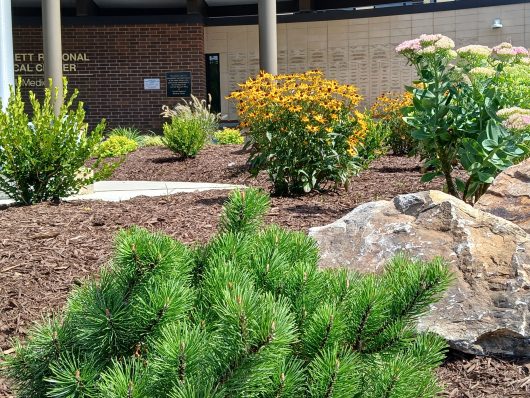 Full Season Plantings