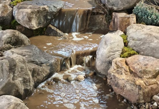 Water Features